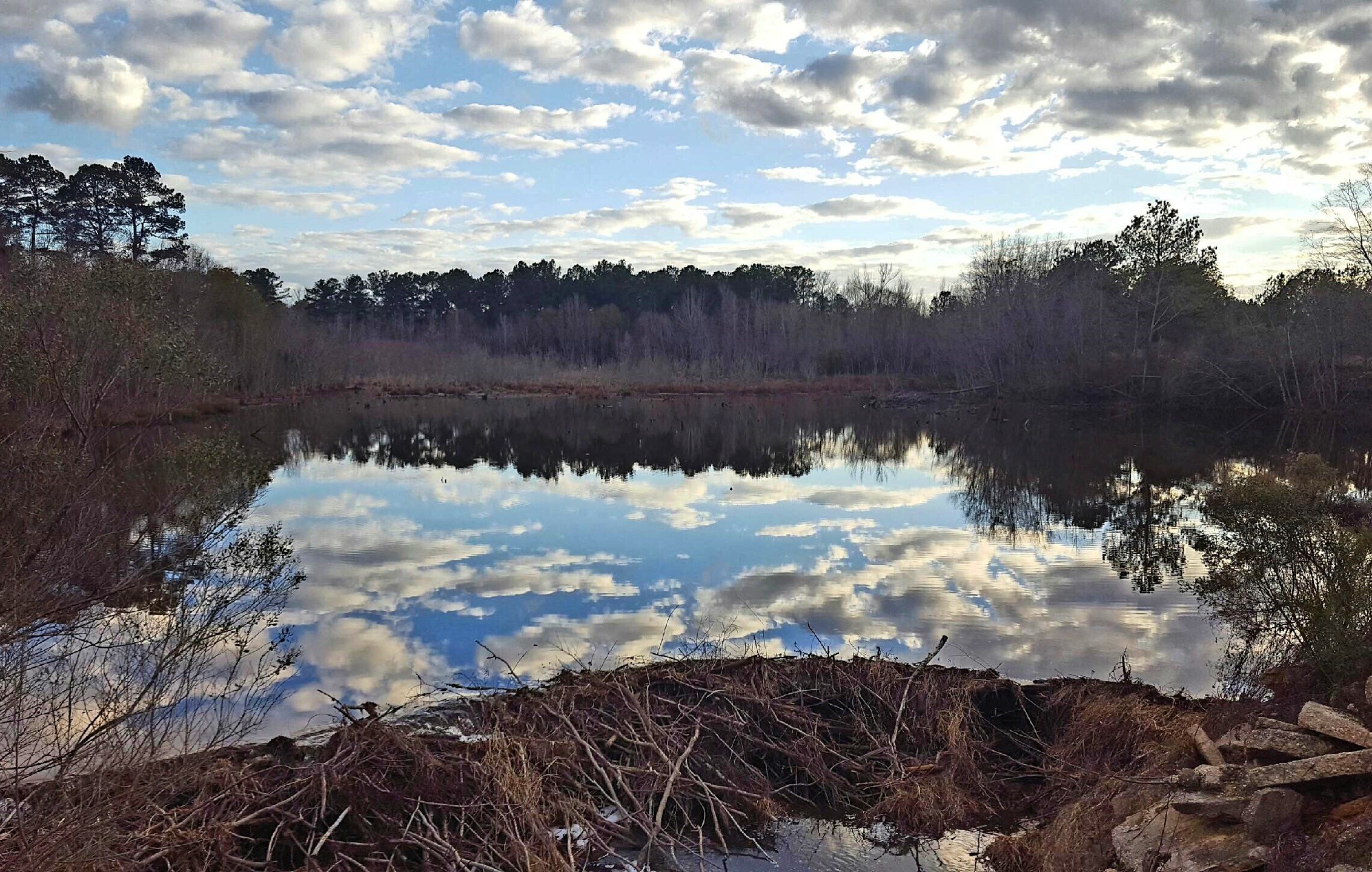 McLemore Mitigation Bank