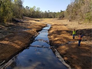 Tiawasee Creek Restoration March 2016 web