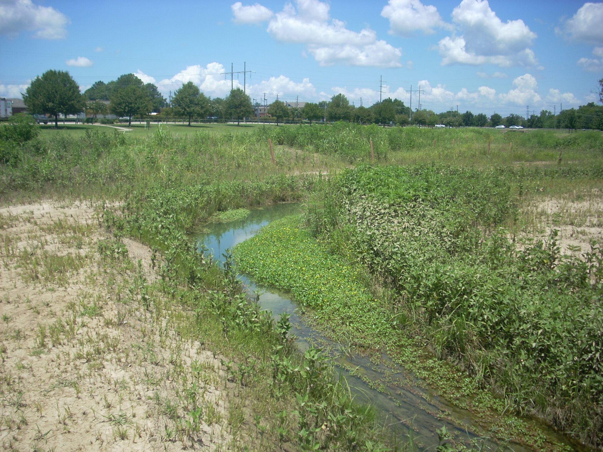 White’s Slough Stream Restoration - Goodwyn Mills Cawood