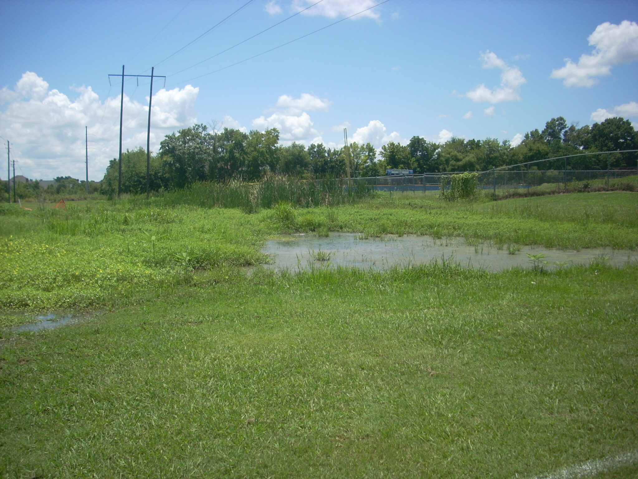 White’s Slough Stream Restoration – GMC Network