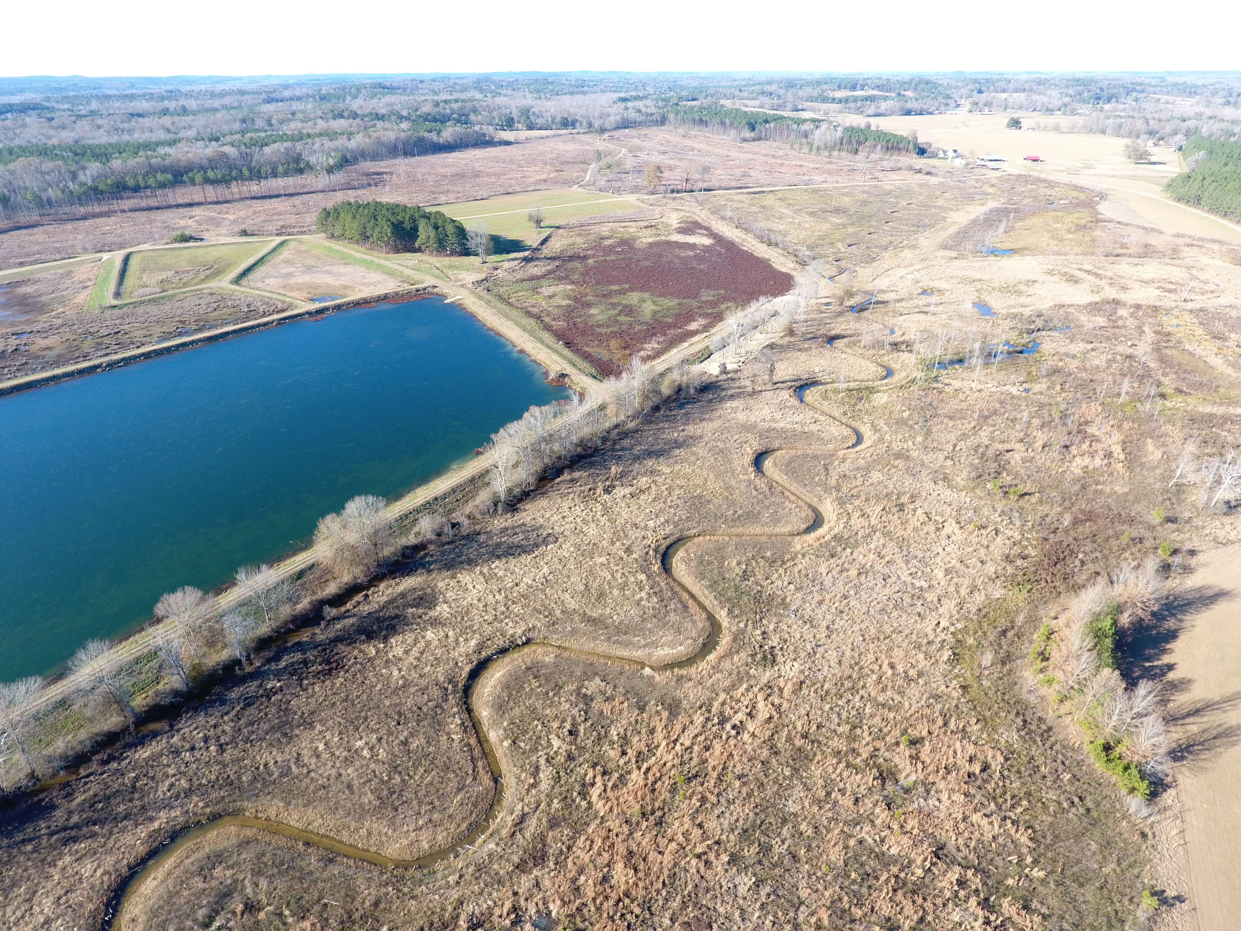 Cahaba River Mitigation Bank