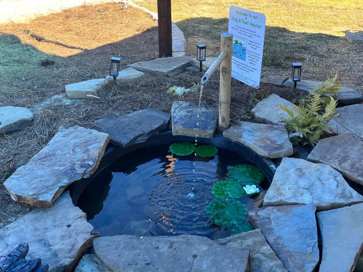 frog and toad habitat