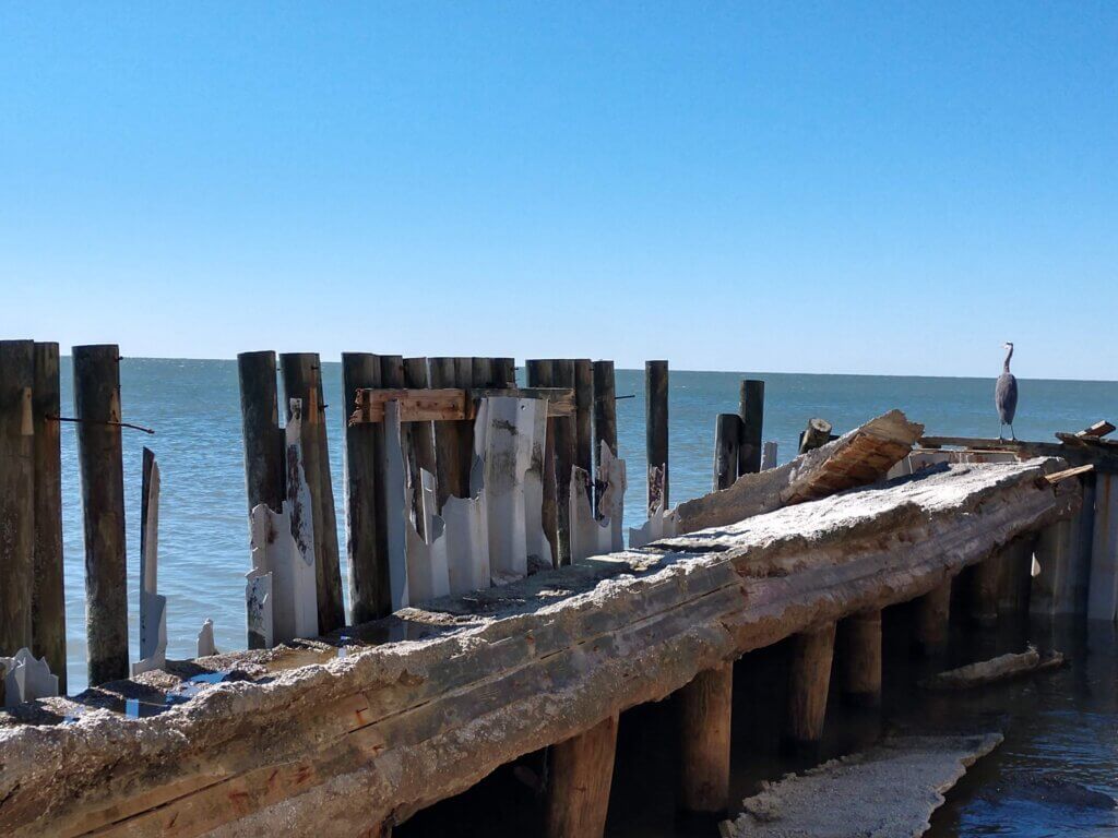 IMG 20201102 114617773 HDR