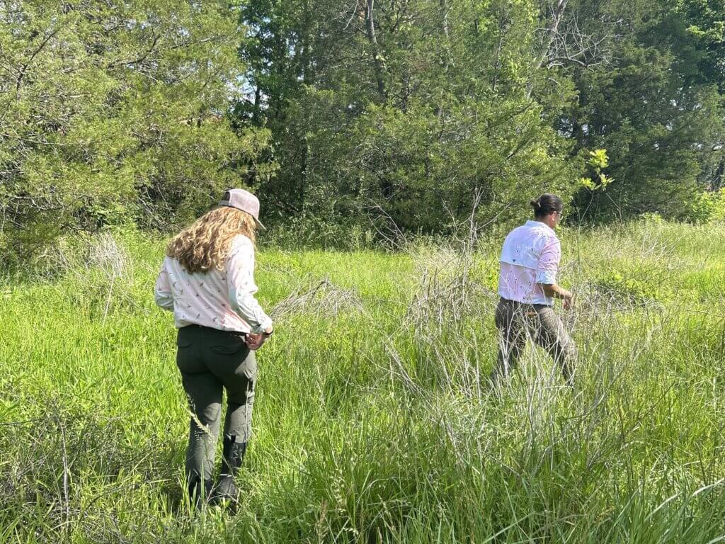 checking site